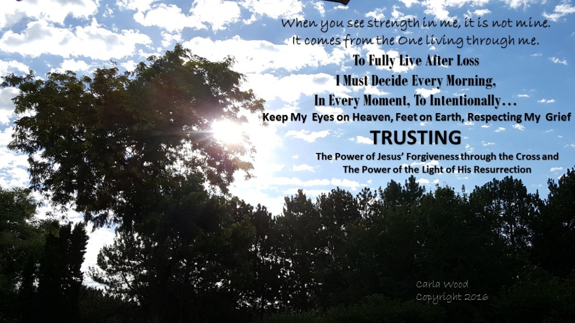 Fully Live signature jpg